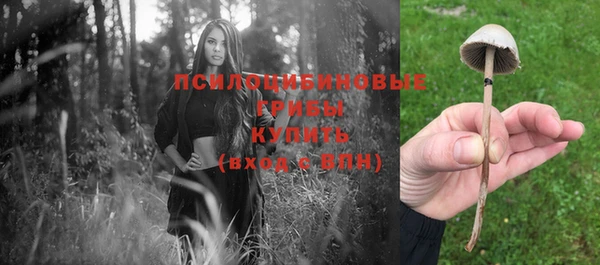 трава Армянск